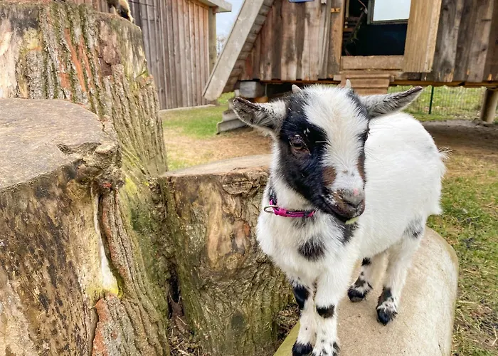 Casa de Férias Elas's Hof - 7ost Rieste